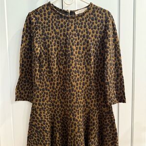 Loft Drop-Waist Leopard Dress